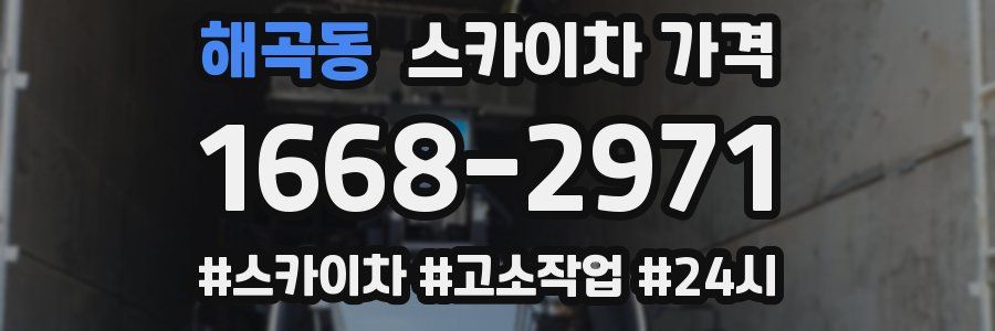 해곡동 스카이차 가격