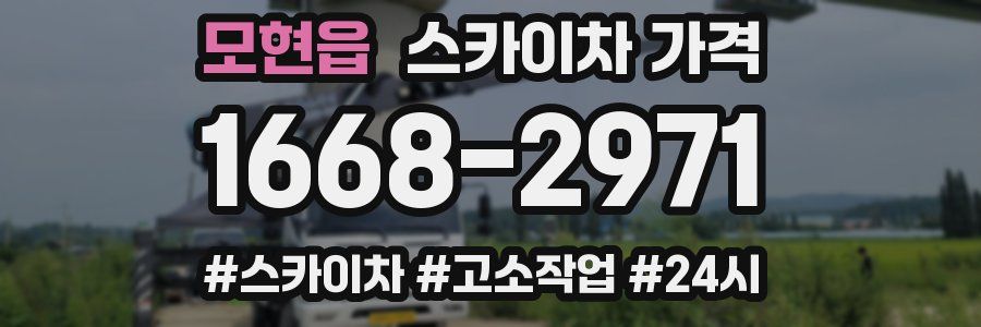 모현읍 스카이차 가격