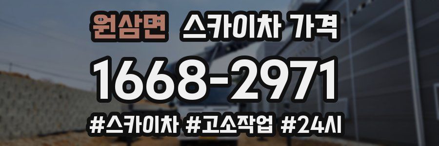 원삼면 스카이차 가격