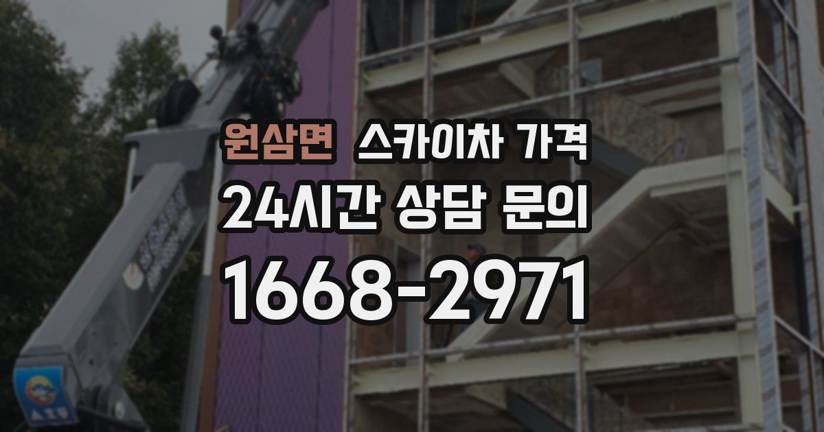 원삼면 스카이차 가격