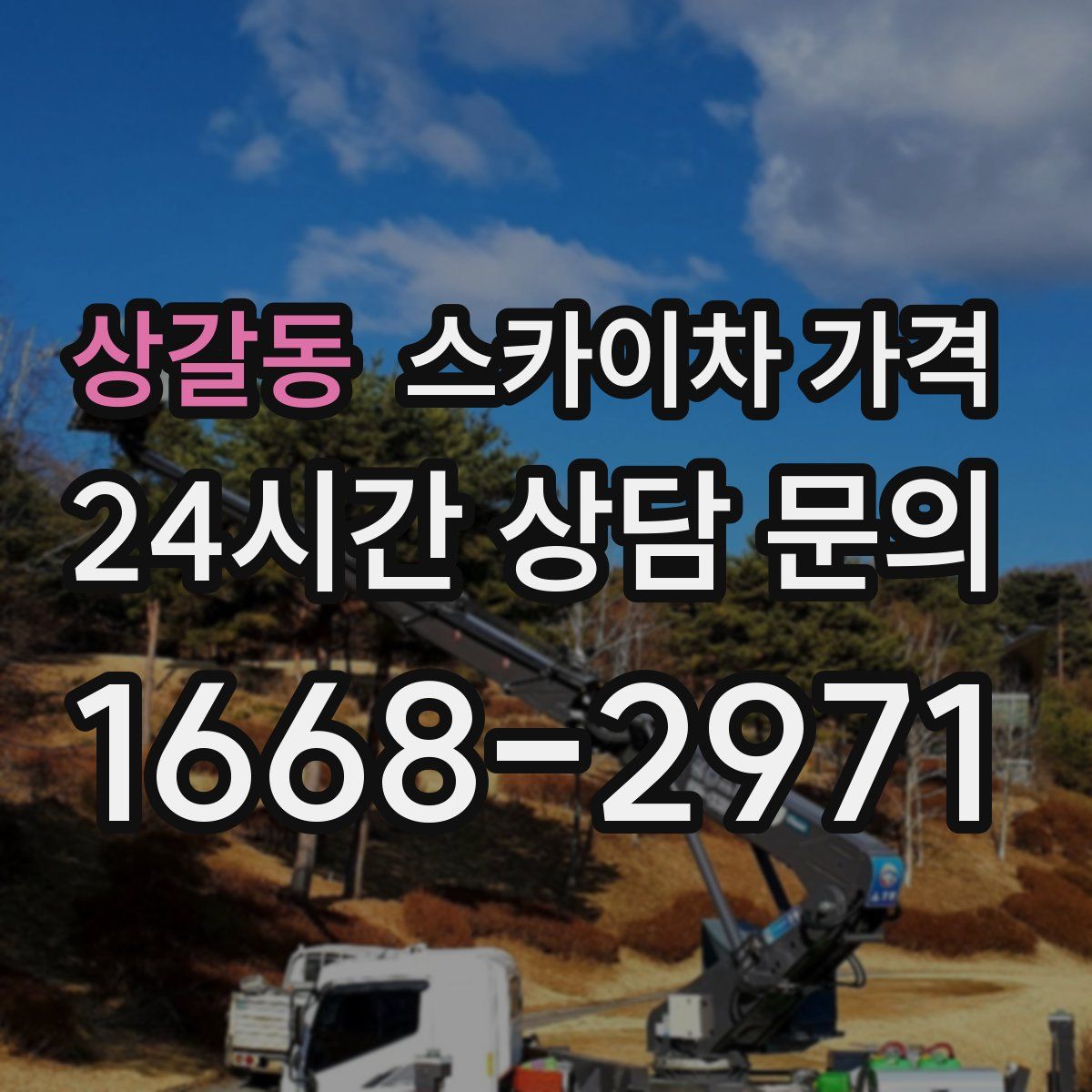 상갈동 스카이차 가격
