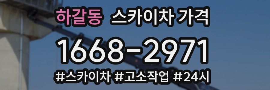 하갈동 스카이차 가격