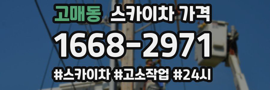 고매동 스카이차 가격