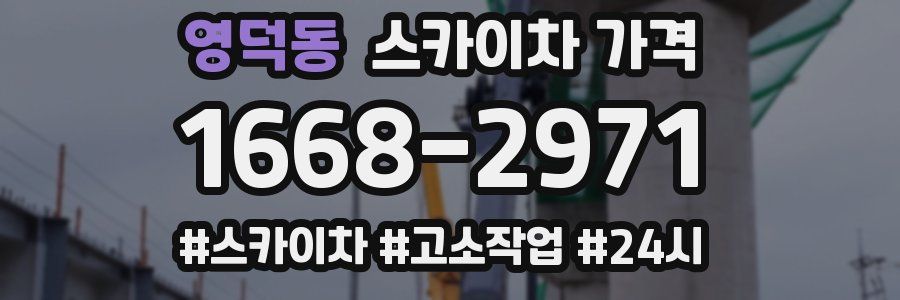 영덕동 스카이차 가격