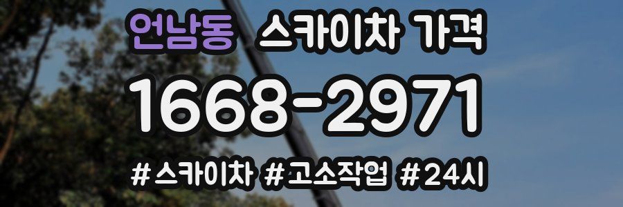 언남동 스카이차 가격