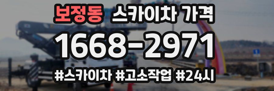 보정동 스카이차 가격