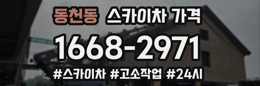 동천동 스카이차 가격