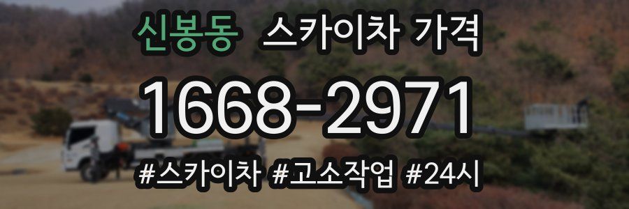 신봉동 스카이차 가격