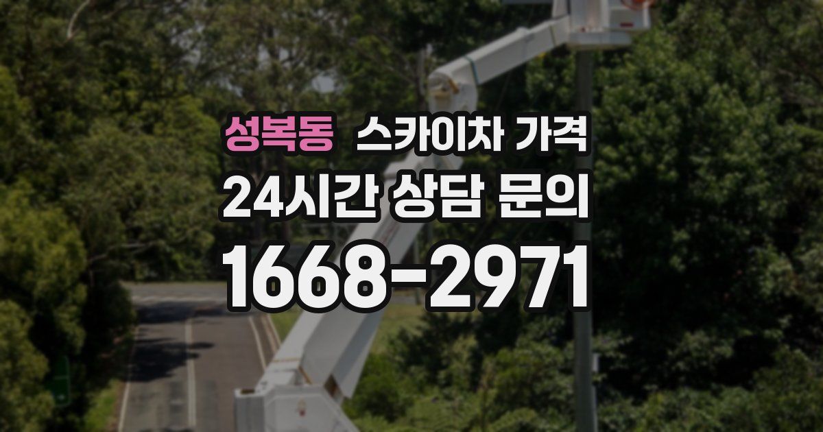 성복동 스카이차 가격