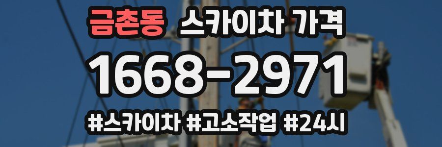 금촌동 스카이차 가격