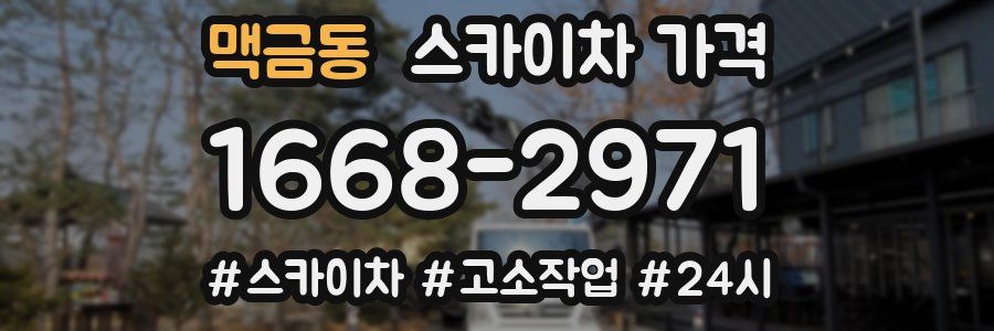 맥금동 스카이차 가격