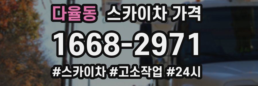 다율동 스카이차 가격