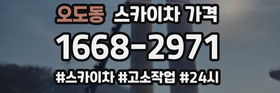 오도동 스카이차 가격