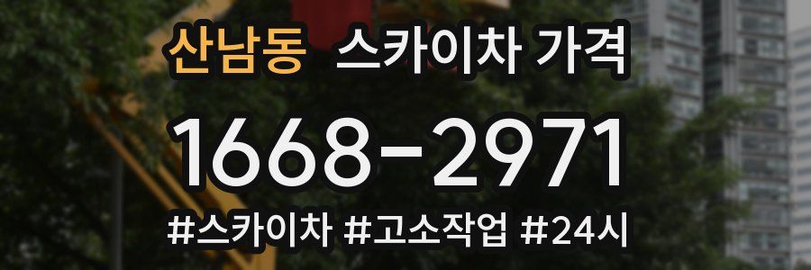 산남동 스카이차 가격