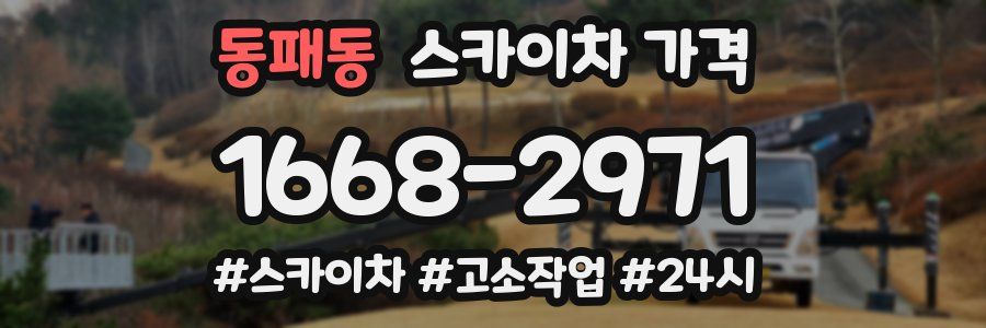 동패동 스카이차 가격