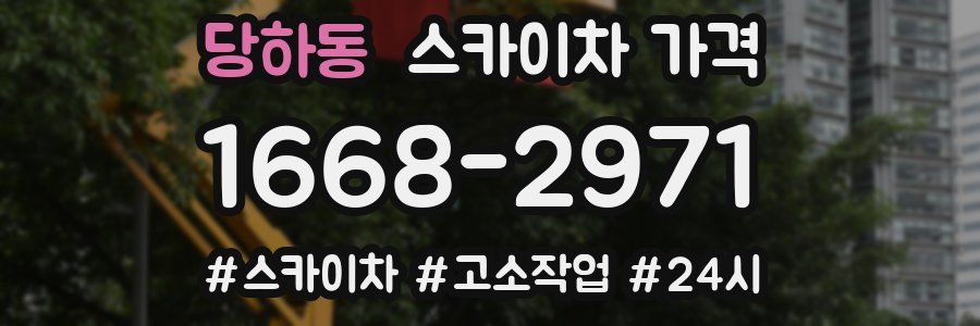 당하동 스카이차 가격