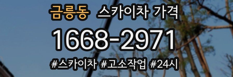 금릉동 스카이차 가격