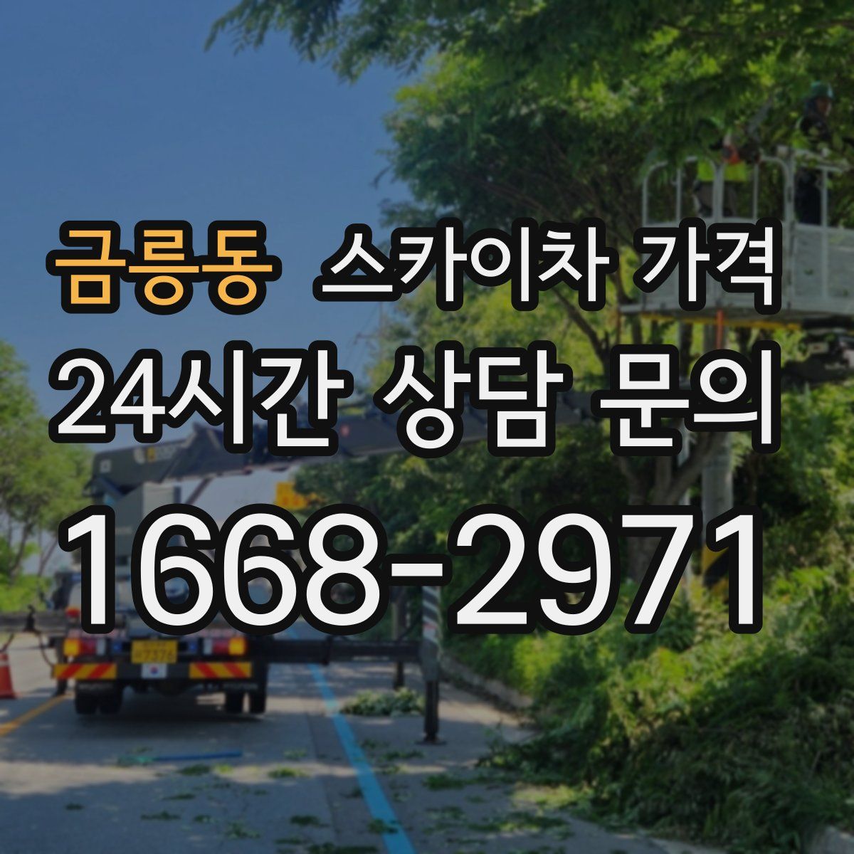 금릉동 스카이차 가격