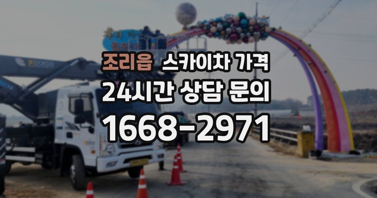 조리읍 스카이차 가격