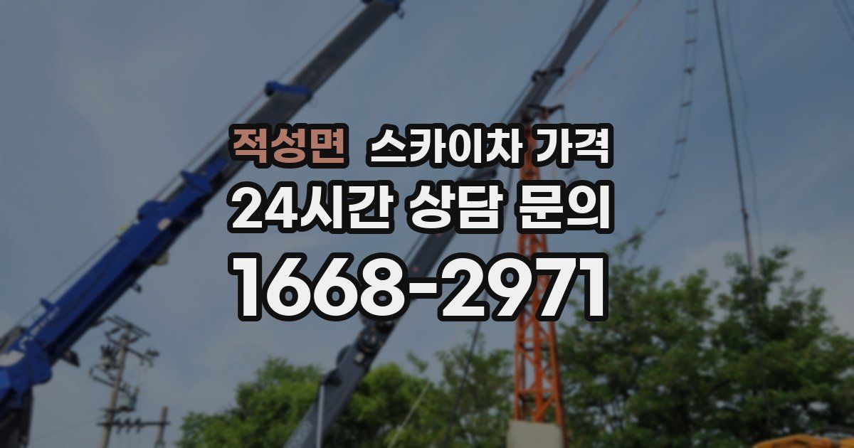 적성면 스카이차 가격