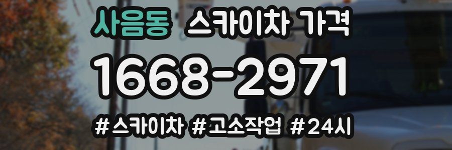 사음동 스카이차 가격