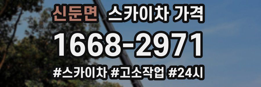 신둔면 스카이차 가격