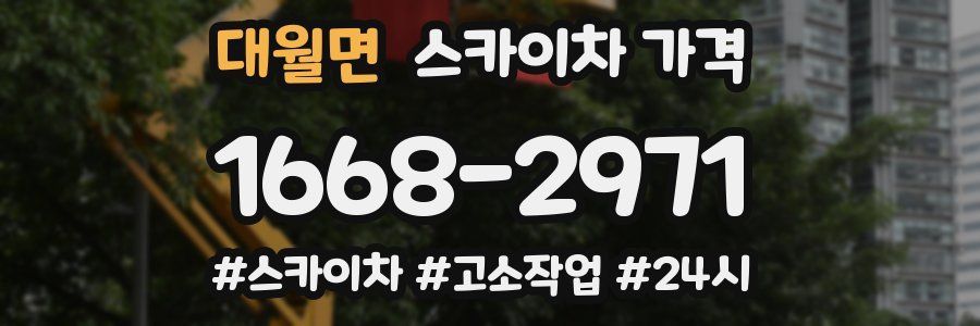 대월면 스카이차 가격