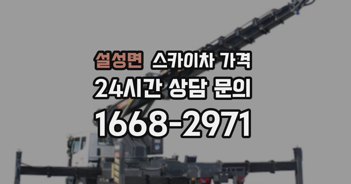 설성면 스카이차 가격