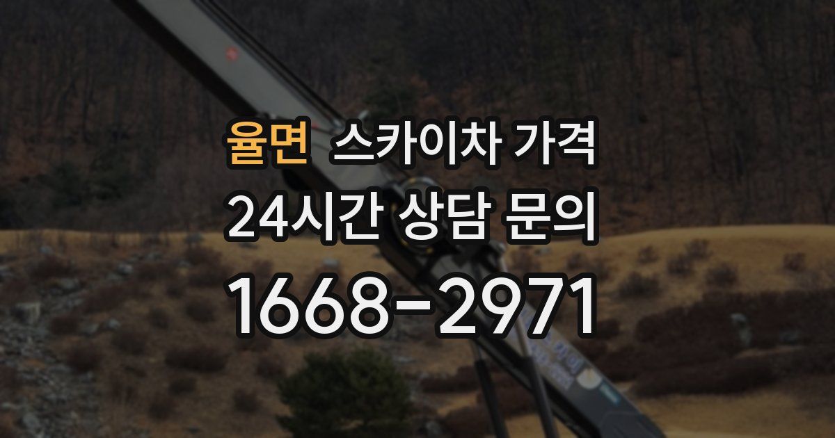 율면 스카이차 가격