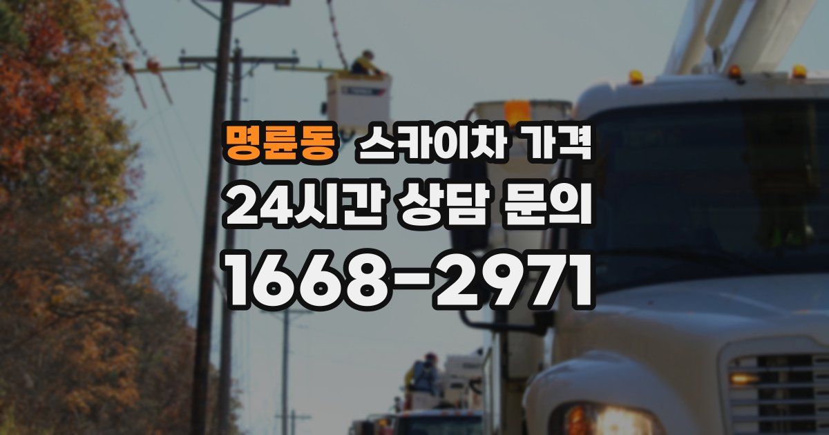 명륜동 스카이차 가격