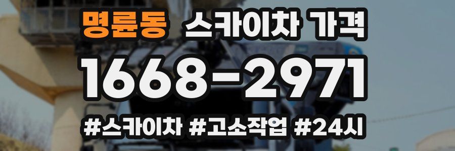 명륜동 스카이차 가격