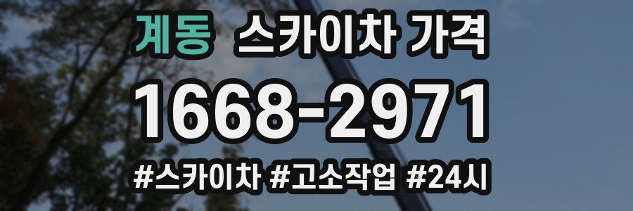 계동 스카이차 가격