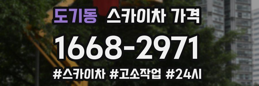 도기동 스카이차 가격