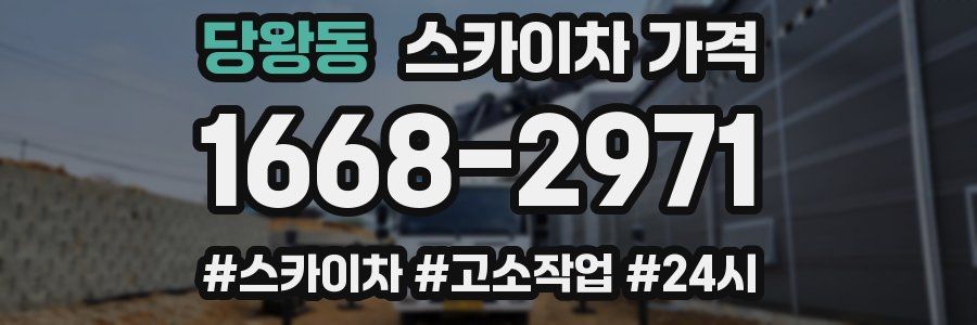 당왕동 스카이차 가격