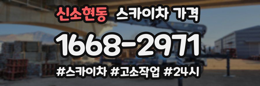 신소현동 스카이차 가격