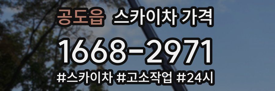 공도읍 스카이차 가격