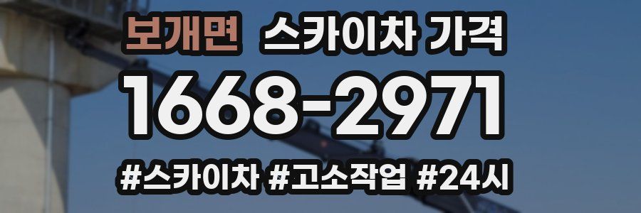 보개면 스카이차 가격