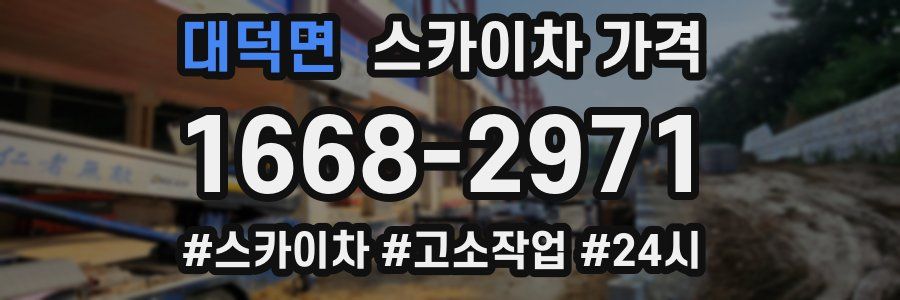 대덕면 스카이차 가격