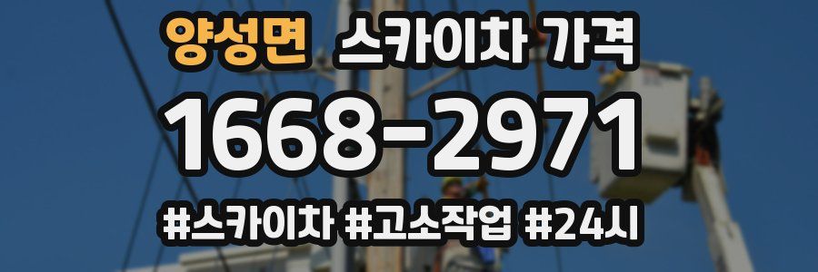 양성면 스카이차 가격