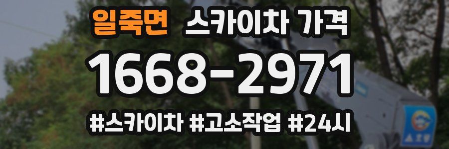 일죽면 스카이차 가격
