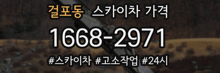 걸포동 스카이차 가격