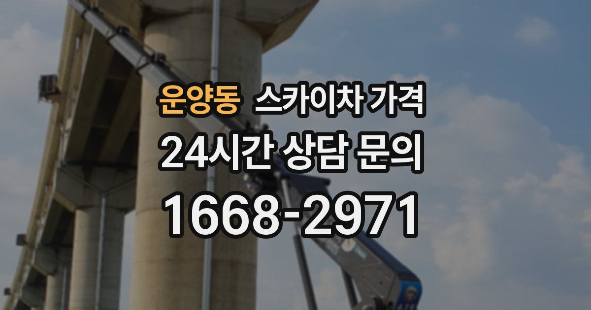 운양동 스카이차 가격