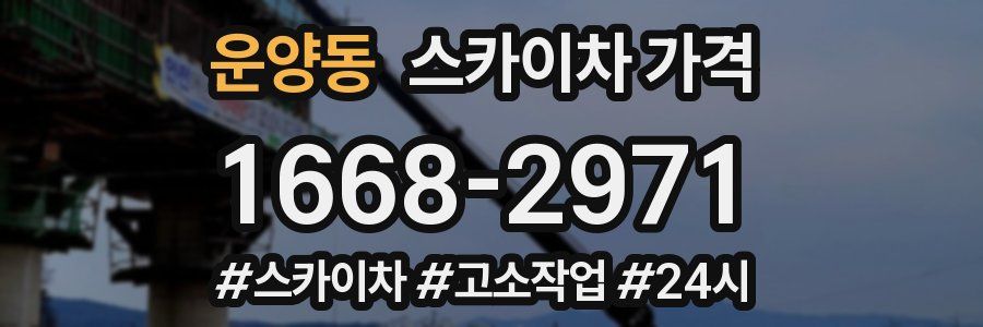 운양동 스카이차 가격