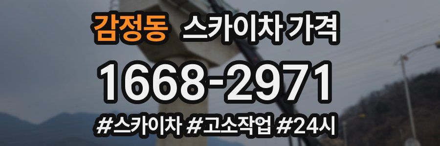 감정동 스카이차 가격