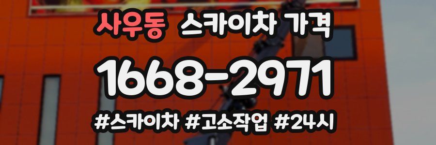 사우동 스카이차 가격