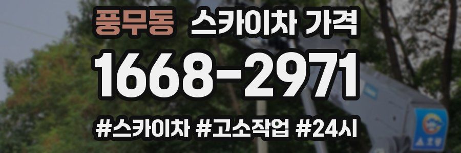 풍무동 스카이차 가격