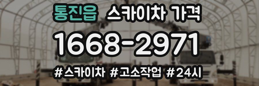 통진읍 스카이차 가격