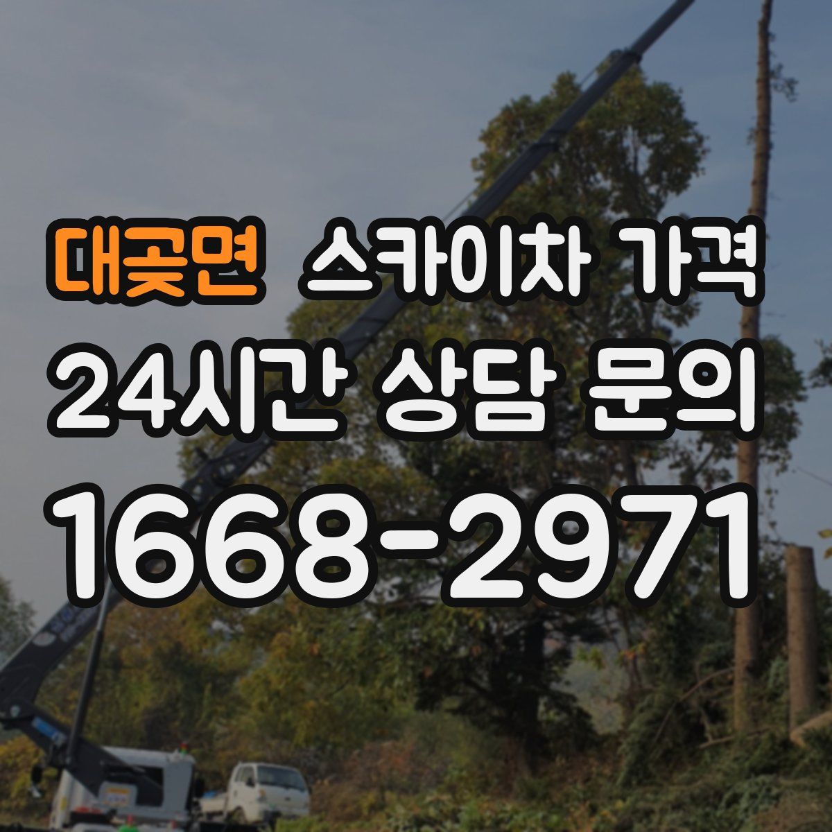 대곶면 스카이차 가격