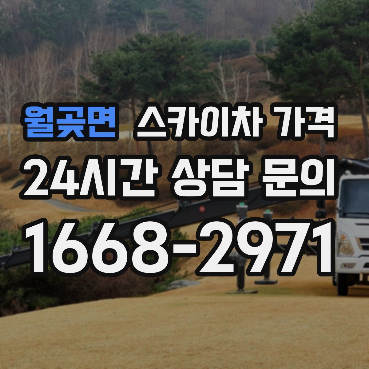 월곶면 스카이차 가격