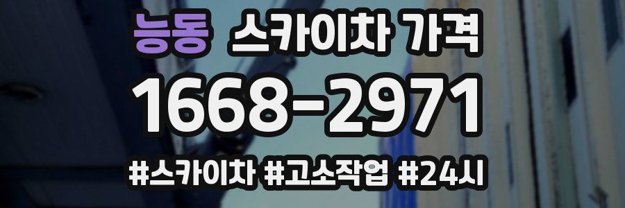 능동 스카이차 가격